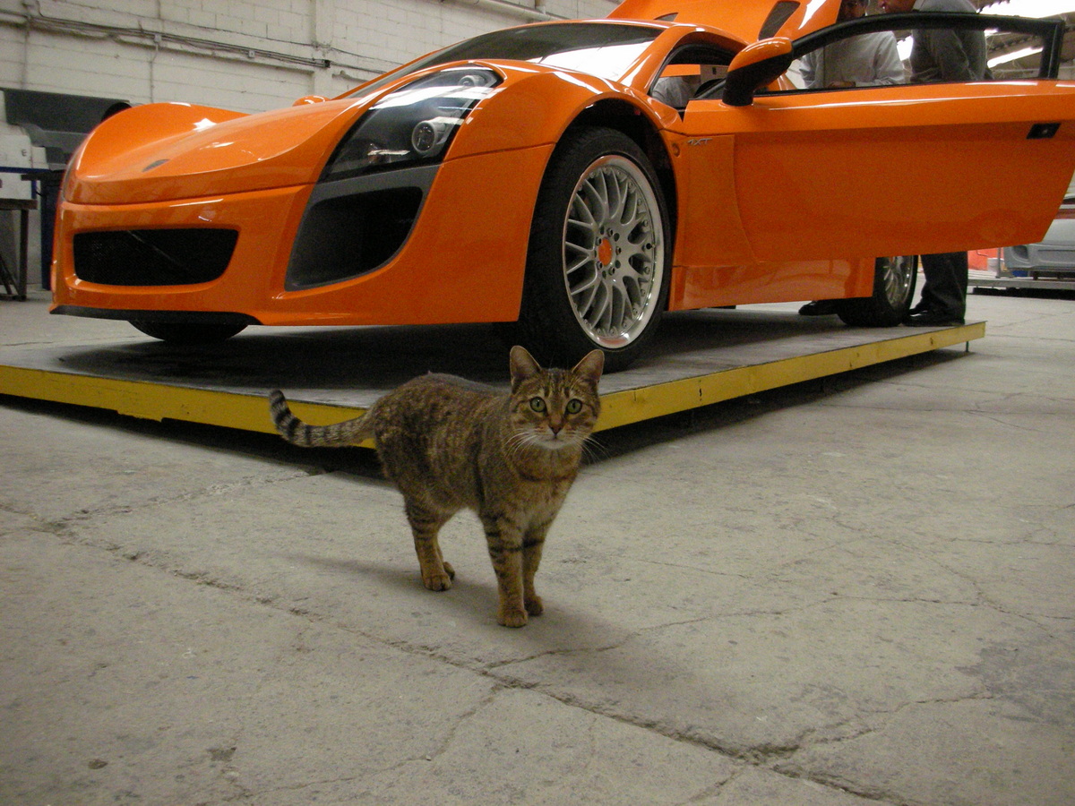 Conociendo el Mastretta MXT