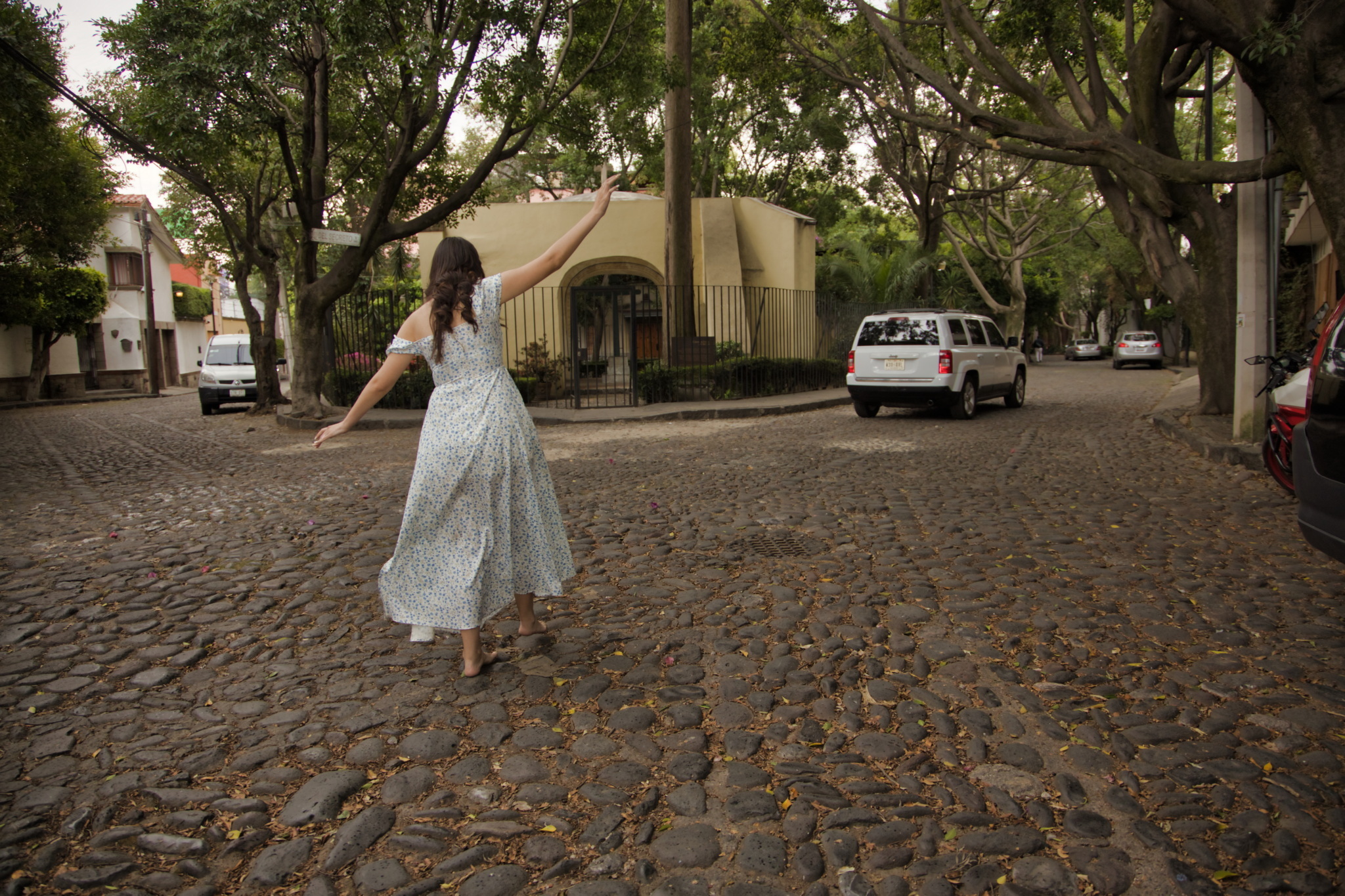 Raíces al viento