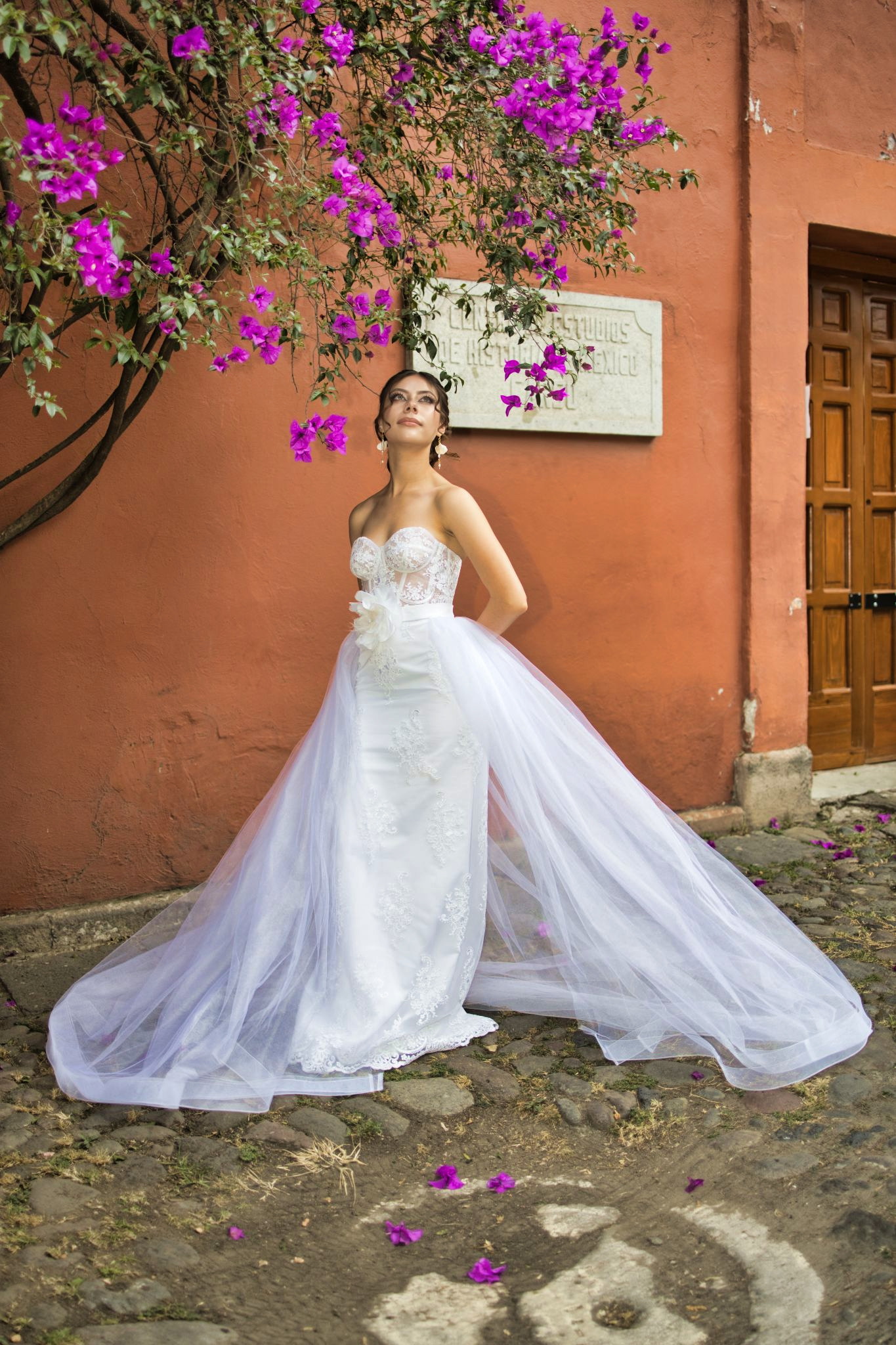 Novias